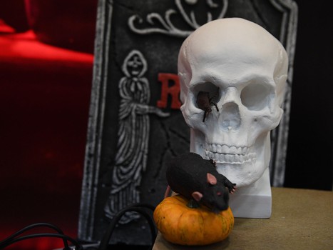 03.11.2019. «Авангард» - «Динамо» Москва 4:3