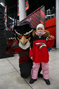 «Авангард» - «Адмирал» 5:2. Вокруг матча