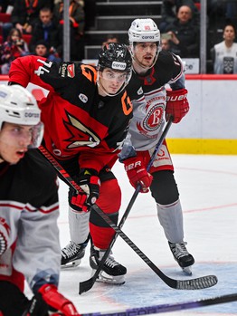 26.02.2025. «Авангард» - «Витязь» 4:3 ОТ