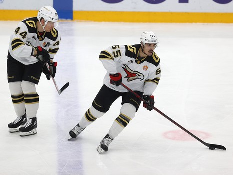 26.11.2021. «Сибирь» - «Авангард» 5:4