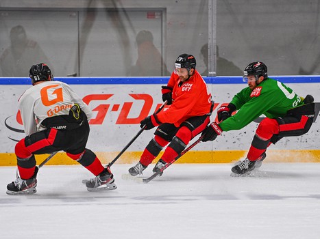 Открытая тренировка «Авангарда»