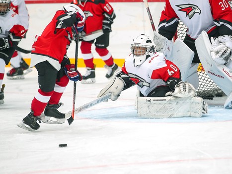 Товарищеский матч. Команда Хартли – Авангард Kids