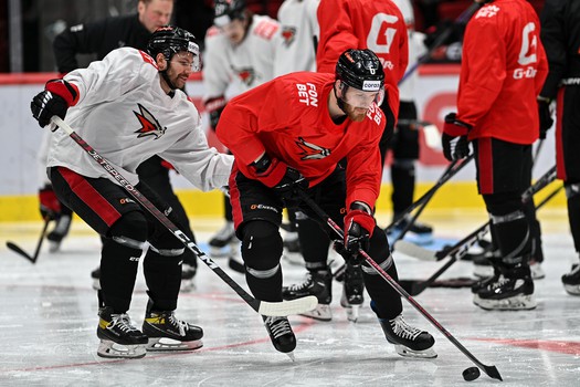 Раскатка «Авангарда» перед пятым матчем серии с «Сибирью»