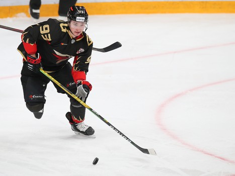 08.12.2020. «Авангард» - «Автомобилист» 3:1