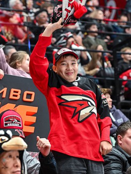 «Авангард» - «Салават Юлаев» 1:0. Вокруг матча