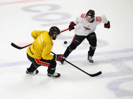 Максим Гончаров вернулся в «Авангард»