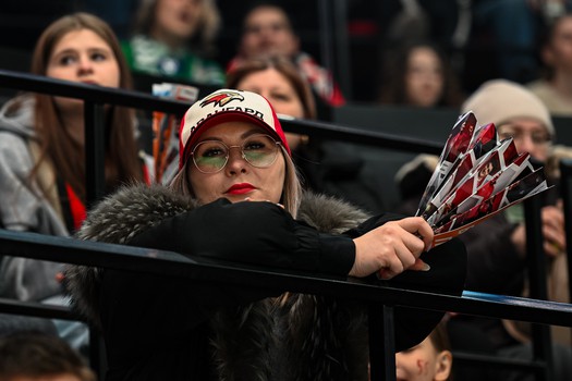 «Авангард» - «Салават Юлаев» 3:4. Вокруг матча