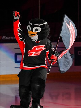 05.12.2017. "Авангард" - "Автомобилист" 2:1 Б