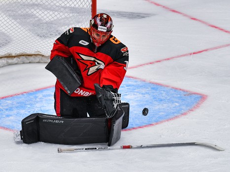 24.02.2023. «Авангард» - «Торпедо» 4:3 ОТ