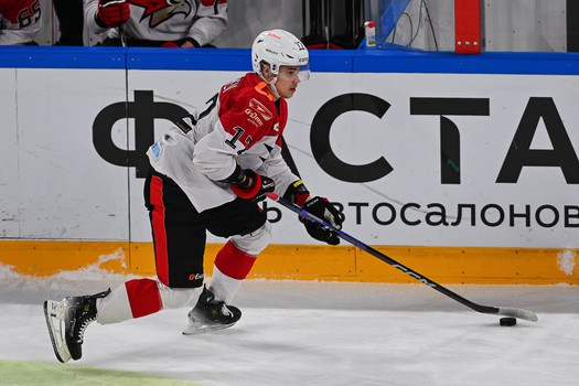 17.12.2024. «Сибирь» - «Авангард» 3:5