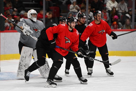 Открытая тренировка «Авангарда»