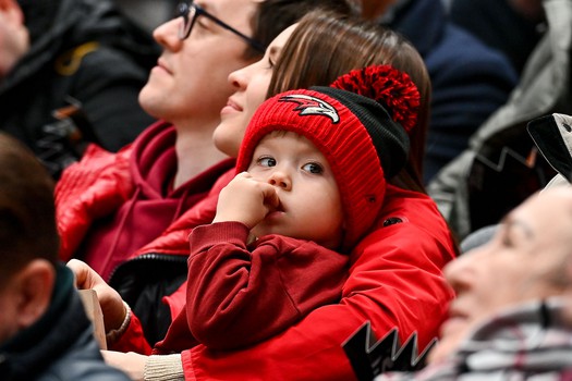 «Авангард» - «Трактор» 3:2. Вокруг матча