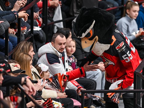 «Авангард» - СКА 5:4. Вокруг матча