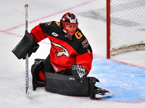 11.01.2023. «Авангард» - «Ак Барс» 1:2