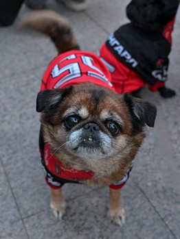 Фан-зона «Авангарда» в Городском саду