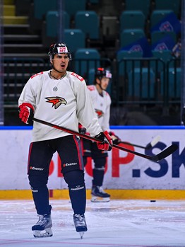 Раскатка «Авангарда» перед матчем с «Сибирью»