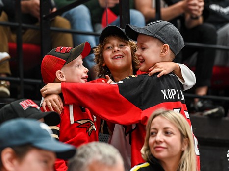 «Авангард» - «Нефтехимик» 5:1. Вокруг матча