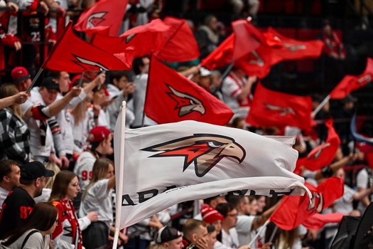 «Авангард» - ХК «Сочи» 5:2. Вокруг матча