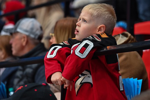 «Авангард» - «Автомобилист» 3:2 ОТ. Вокруг матча
