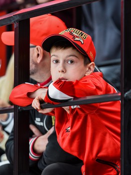 «Авангард» - «Металлург» 5:1. Вокруг матча