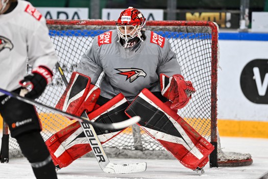 Раскатка «Авангарда» перед пятым матчем финала Востока с «Ак Барсом»