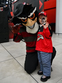 «Авангард» - «Адмирал» 5:2. Вокруг матча