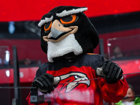 «Авангард» - «Салават Юлаев» 2:4. Вокруг матча