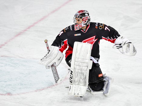 08.11.2016. "Авангард" - "Торпедо" 2:1. Все голы