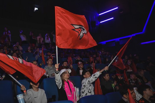 Фан-зона «Авангарда»