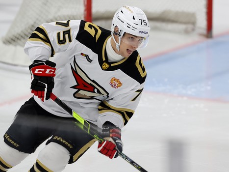 26.11.2021. «Сибирь» - «Авангард» 5:4