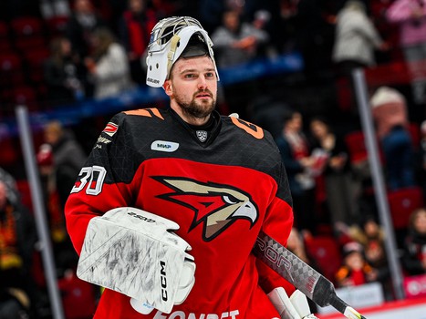 20.02.2024. «Авангард» - «Автомобилист» 4:2