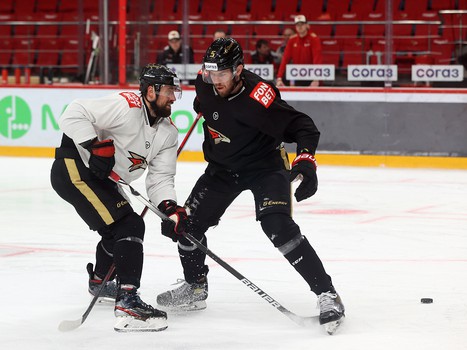 Раскатка «Авангарда» перед матчем с «Витязем»