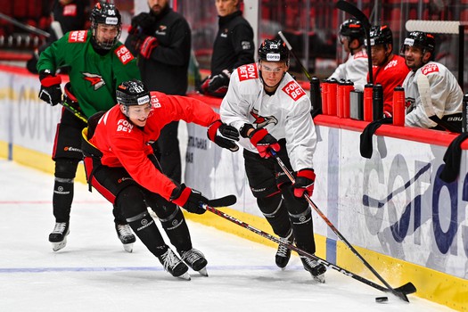 Тренировка «Авангарда» перед матчем с «Витязем»