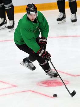 Раскатка «Авангарда» перед матчем с «Сибирью»