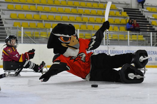 Турнир по следж-хоккею в Омске, день 2