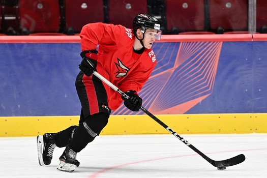 Двусторонка «Авангарда»