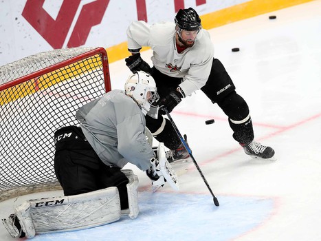 Снова на льду. «Авангард» вернулся к работе