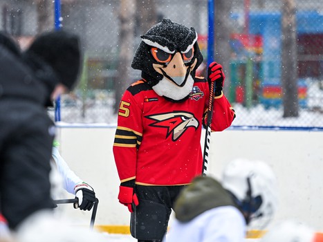 Уроки хоккея проходят в 10 школах Омска