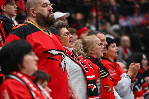 «Авангард» - «Адмирал» 5:2. Вокруг матча