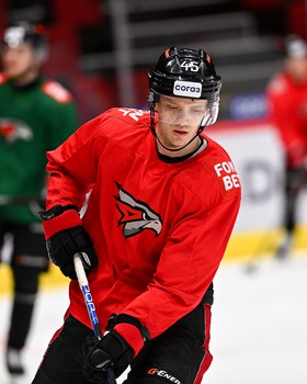 Раскатка «Авангарда» перед матчем с «Ак Барсом»