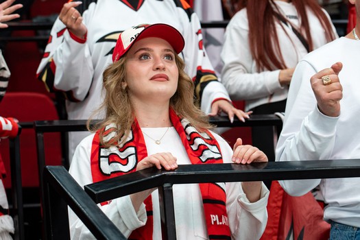 «Авангард» - «Динамо» Мн 5:4 Б. Вокруг матча