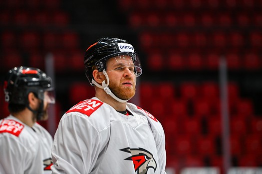 Раскатка «Авангарда» перед матчем с «Сибирью»