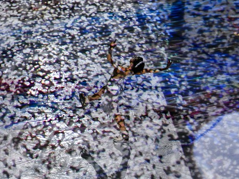 «Авангард» - «Сибирь» 2:1. Вокруг матча