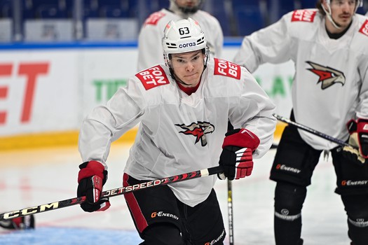 Раскатка «Авангарда» перед матчем в Уфе