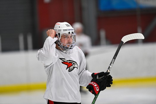 Тренировка «Авангарда» в Балашихе