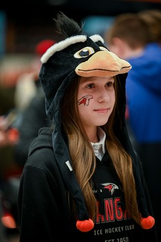 «Авангард» - «Адмирал» 6:1. Вокруг матча