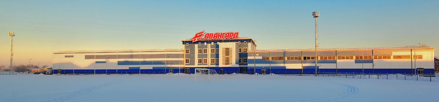 Открытие филиала Хоккейной академии "Авангард" в Тарко-Сале 04.12.13