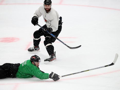 Снова на льду. «Авангард» вернулся к работе