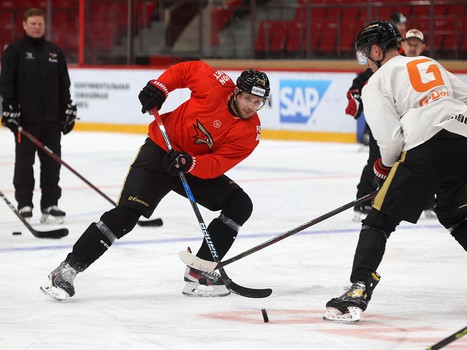 Раскатка «Авангарда» перед матчем с «Металлургом»