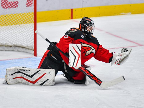 08.02.2024. «Авангард» - «Спартак» 3:5